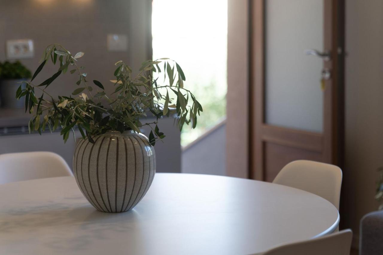 Apartments Alloro By Seeadria Agency Novigrad Istria Exterior foto